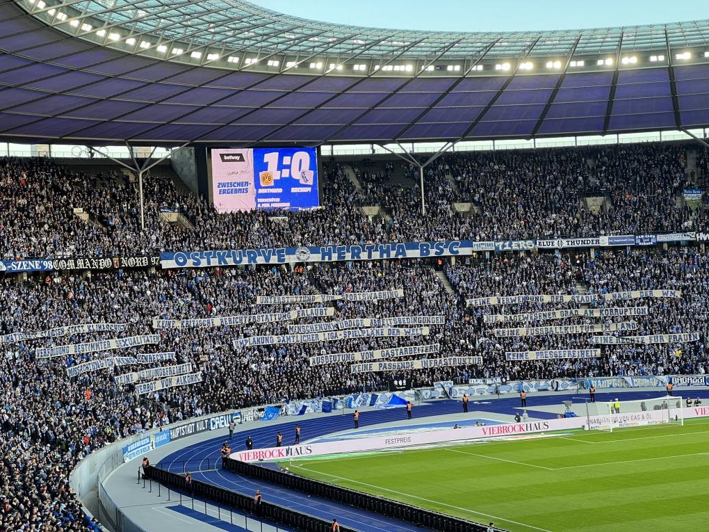 Hertha BSC (Foto: BigCityClubBSC)